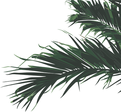 Palmwedel